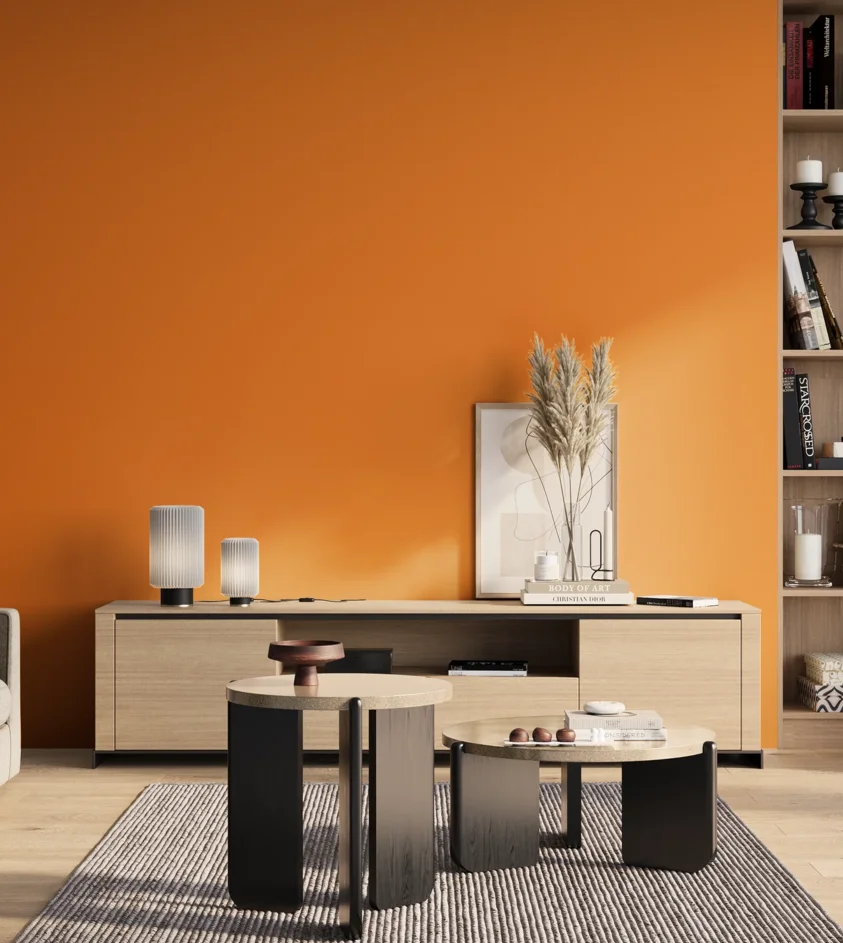 P10_SNIEZKA_salon_01_poranek_GREY_S0580-Y40R