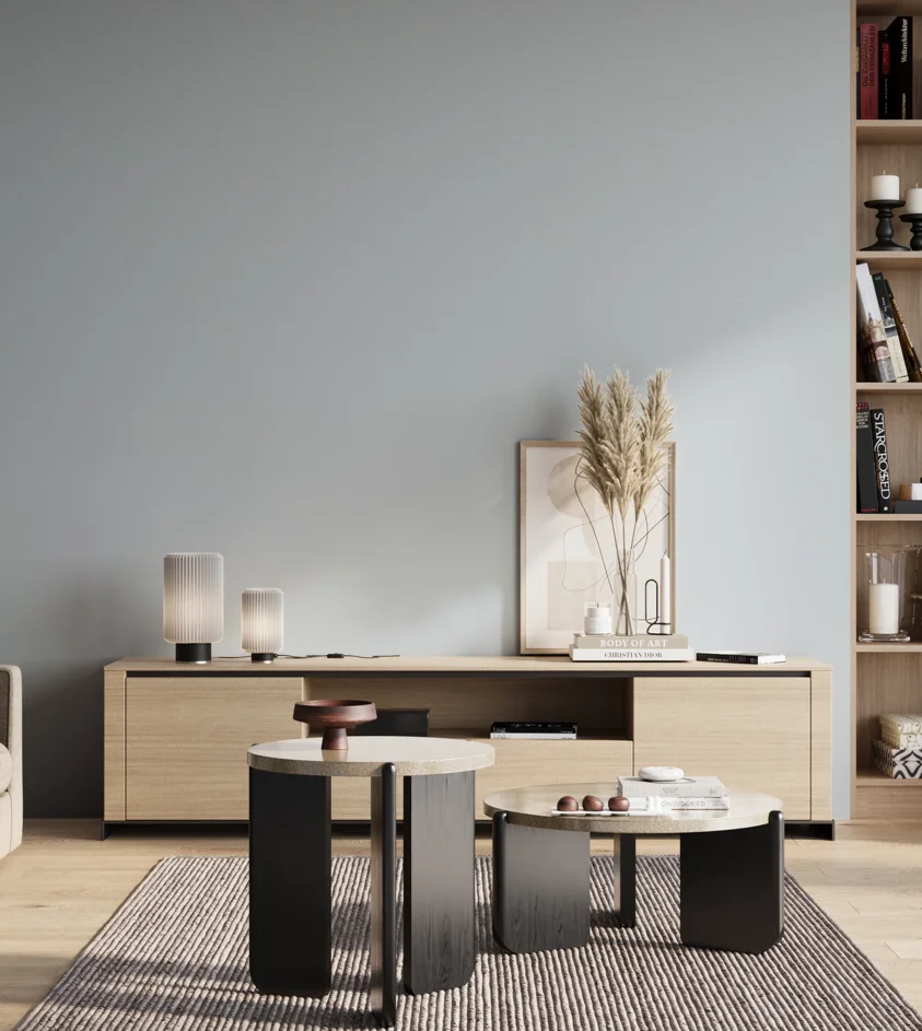P10_SNIEZKA_salon_01_poranek_GREY_S1010-R90B