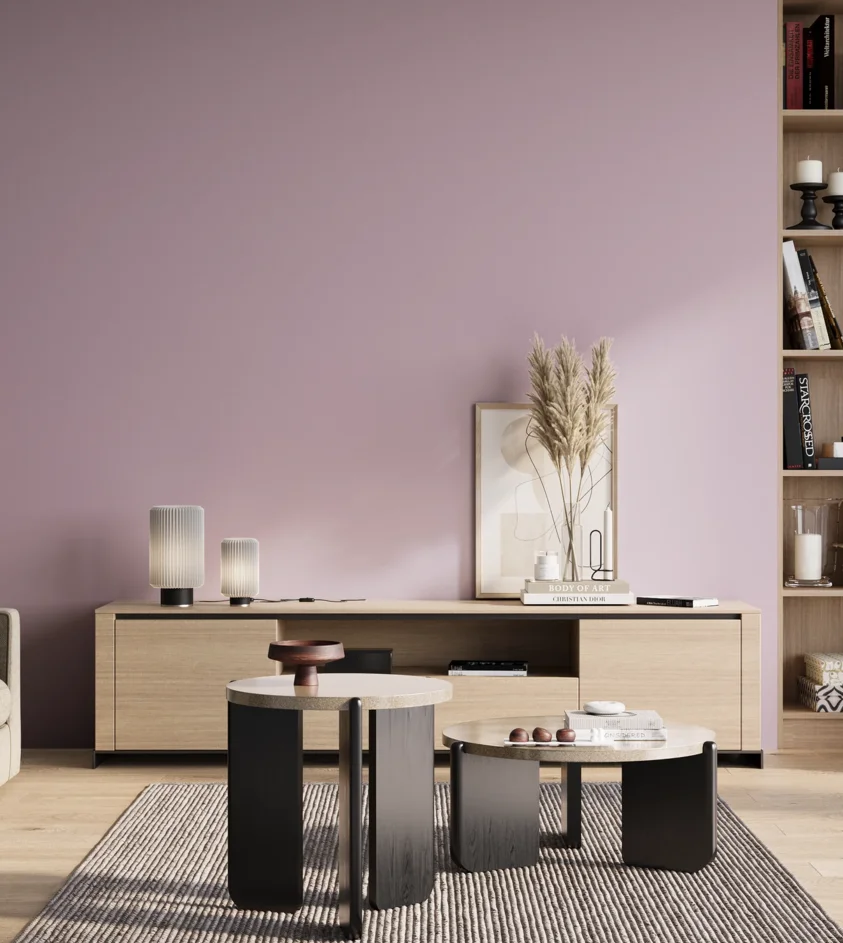 P10_SNIEZKA_salon_01_poranek_GREY_S1020-R40B