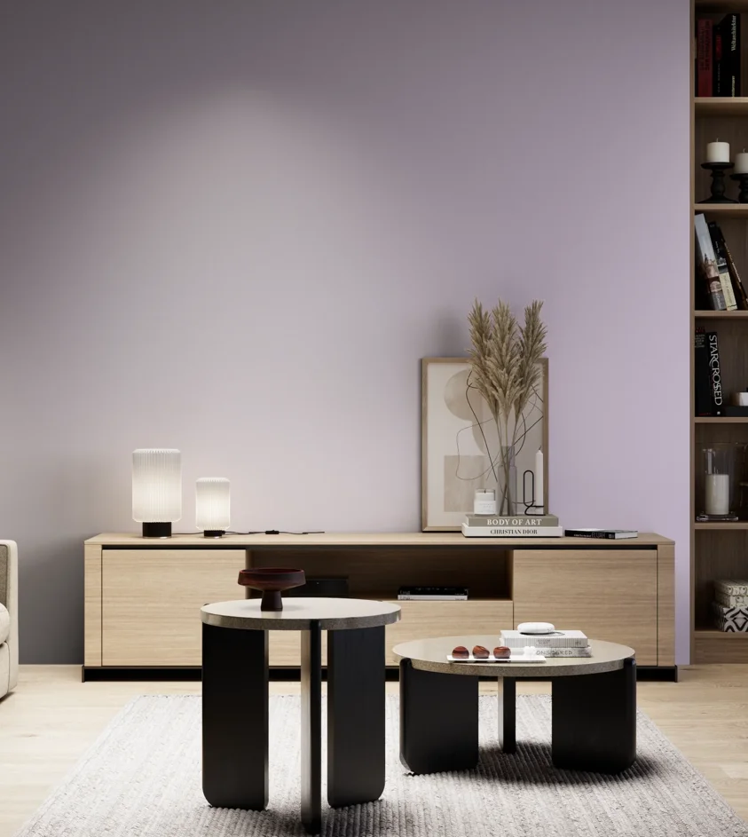 P10_SNIEZKA_salon_05_zimne_GREY_S1020-R50B