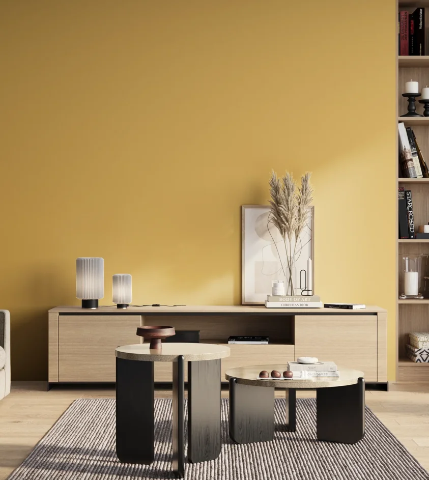 P10_SNIEZKA_salon_01_poranek_GREY_S1040-Y10R
