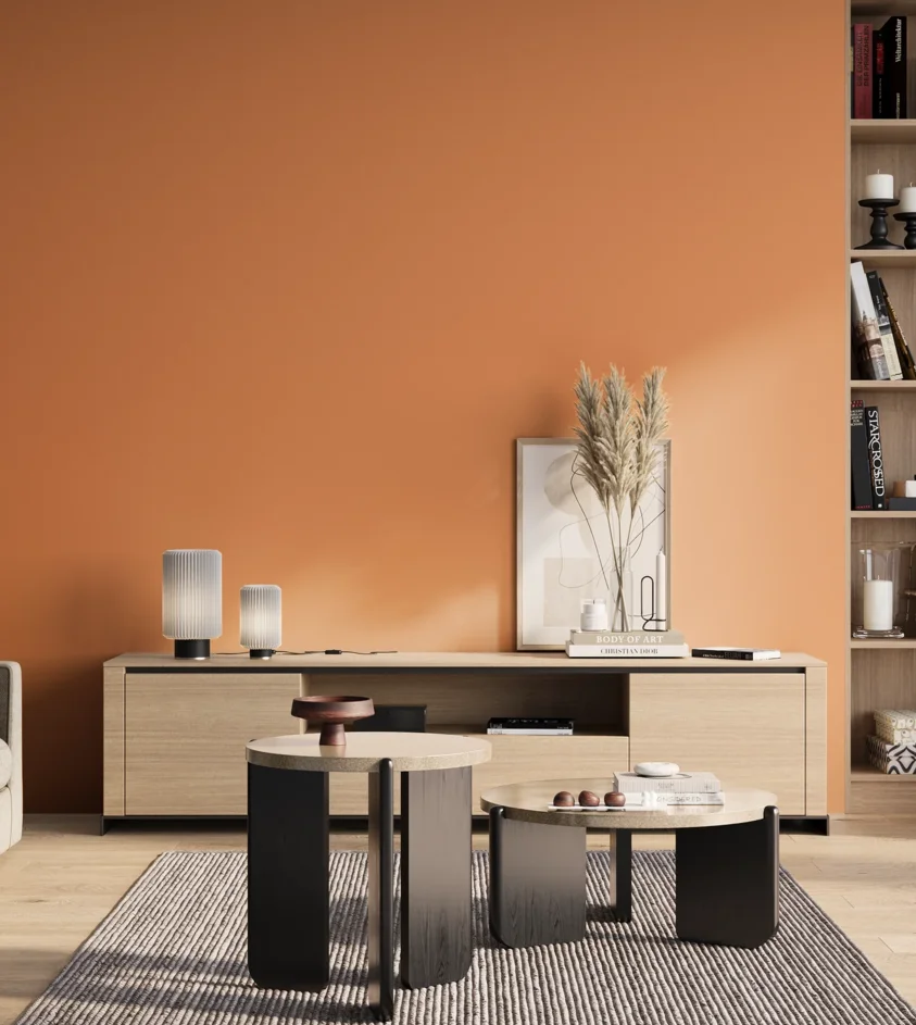 P10_SNIEZKA_salon_01_poranek_GREY_S1050-Y50R