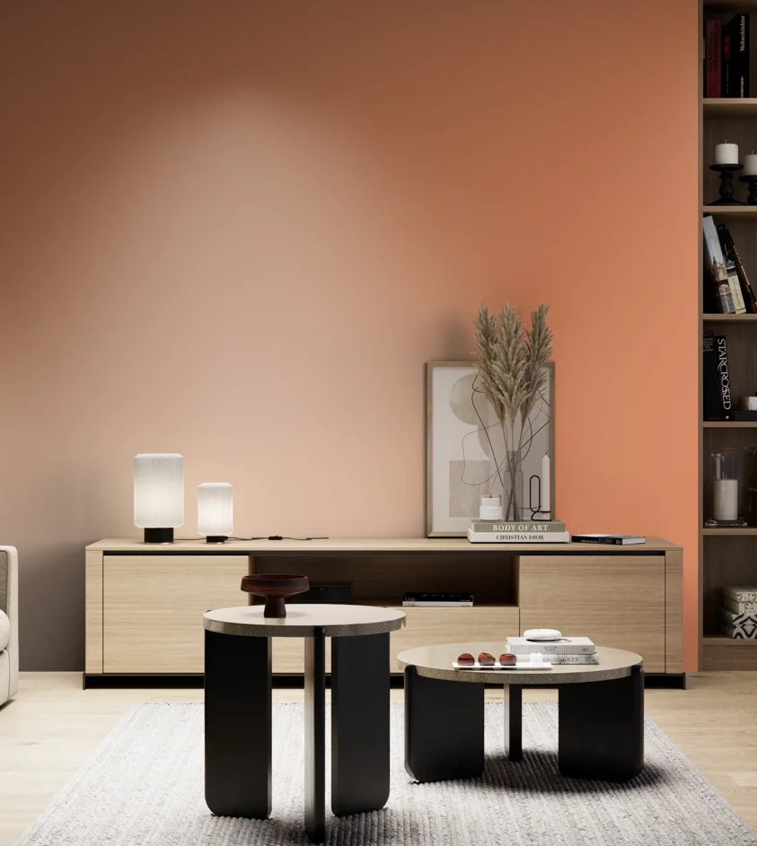 P10_SNIEZKA_salon_05_zimne_GREY_S1050-Y60R