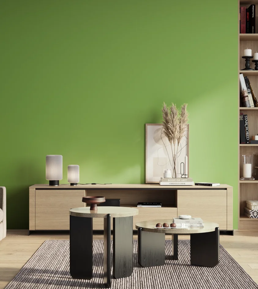 P10_SNIEZKA_salon_01_poranek_GREY_S1060-G30Y