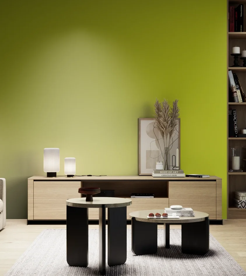 P10_SNIEZKA_salon_05_zimne_GREY_S1075-G60Y