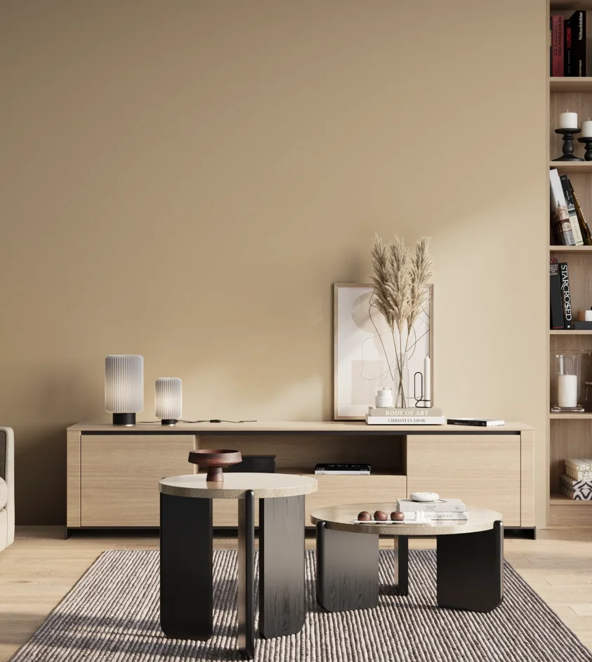 P10_SNIEZKA_salon_01_poranek_GREY_S1510-Y30R