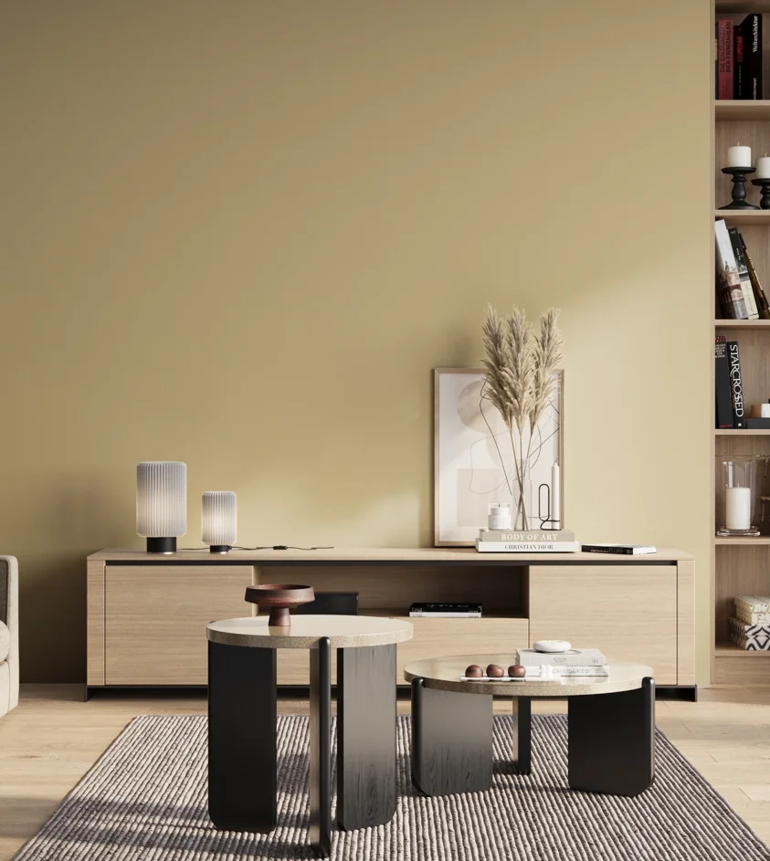 P10_SNIEZKA_salon_01_poranek_GREY_S1515-Y10R