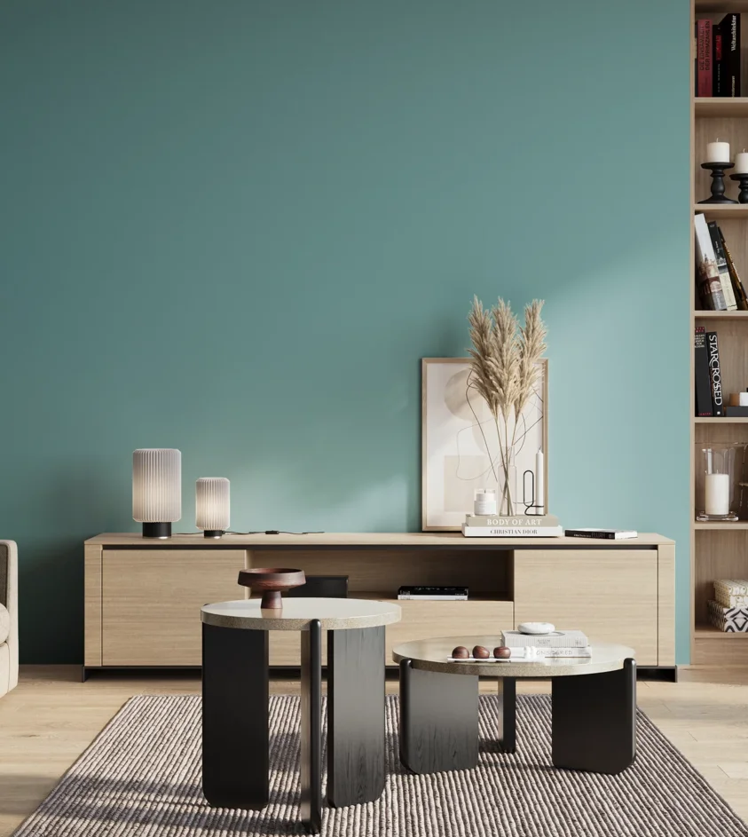 P10_SNIEZKA_salon_01_poranek_GREY_S2030-B30G