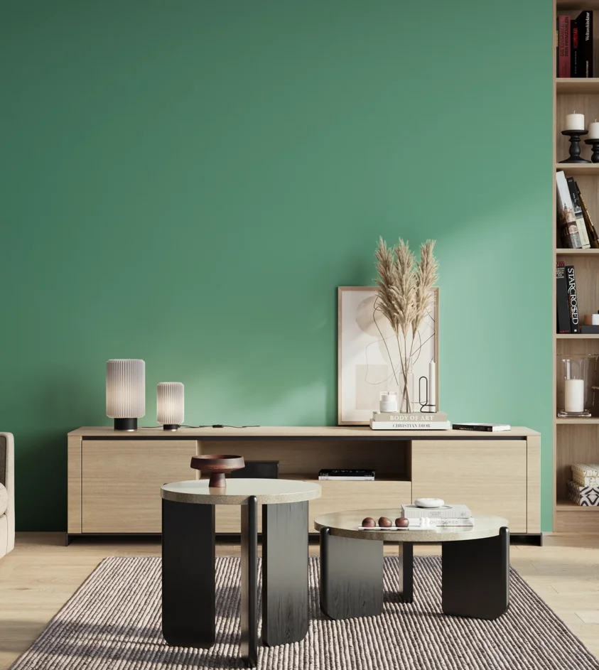 P10_SNIEZKA_salon_01_poranek_GREY_S2040-B90G