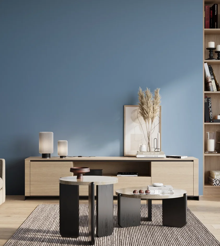 P10_SNIEZKA_salon_01_poranek_GREY_S2040-R90B