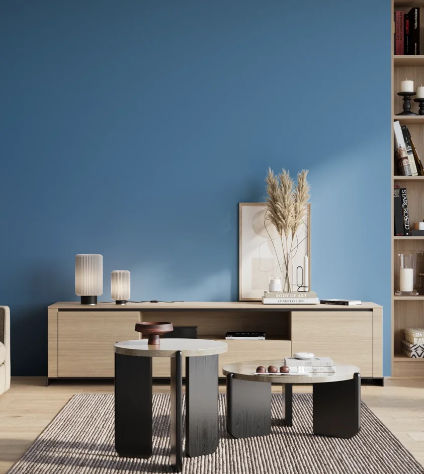 P10_SNIEZKA_salon_01_poranek_GREY_S2050-R90B