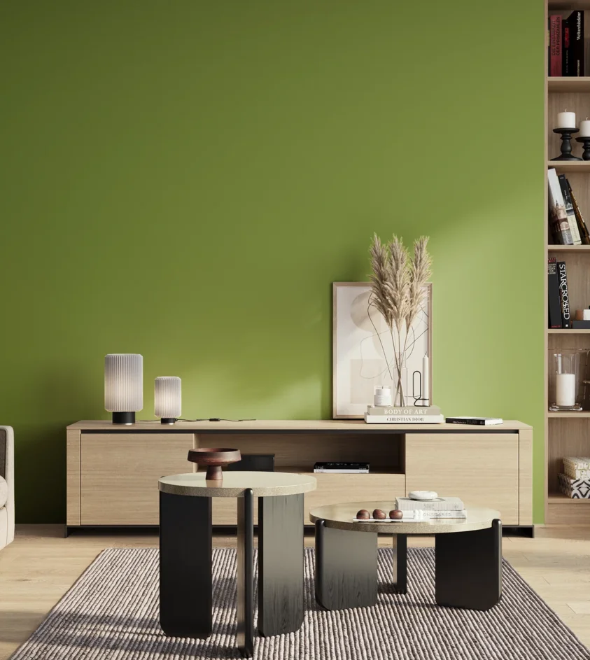 P10_SNIEZKA_salon_01_poranek_GREY_S2060-G40Y