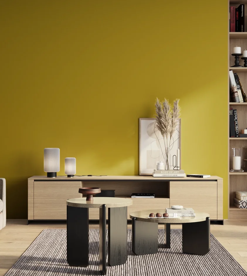 P10_SNIEZKA_salon_01_poranek_GREY_S2070-G90Y