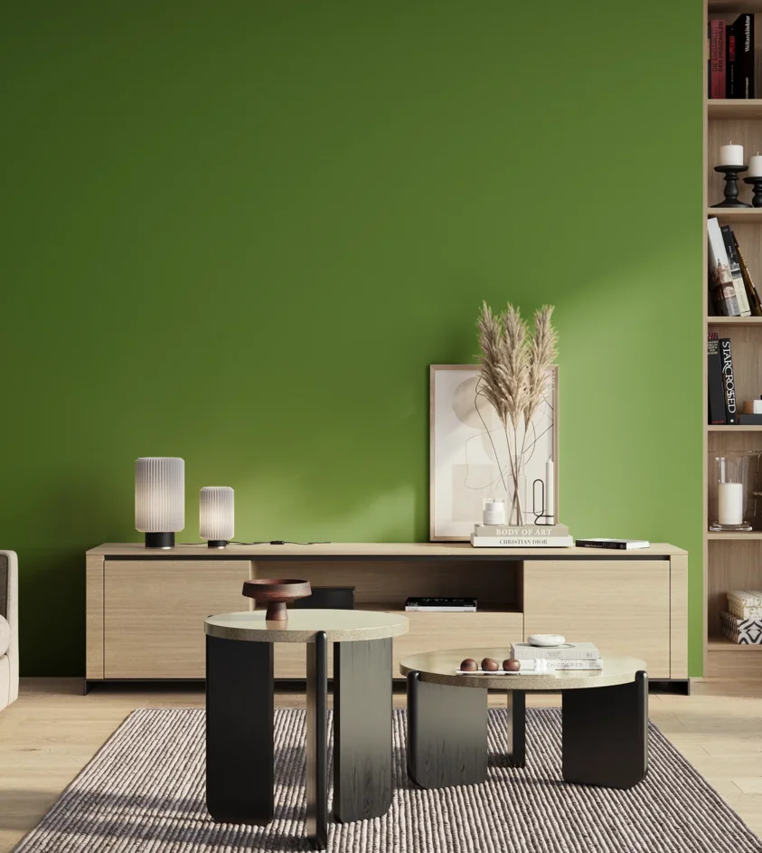 P10_SNIEZKA_salon_01_poranek_GREY_S2570-G30Y
