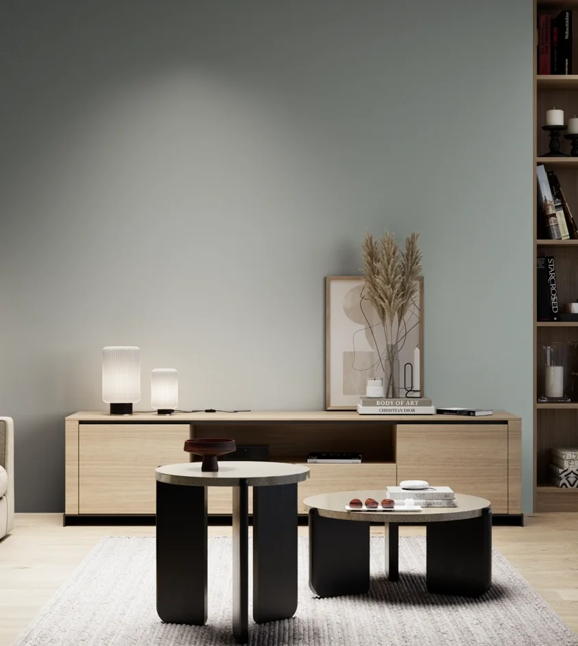 P10_SNIEZKA_salon_05_zimne_GREY_S3005-B80G