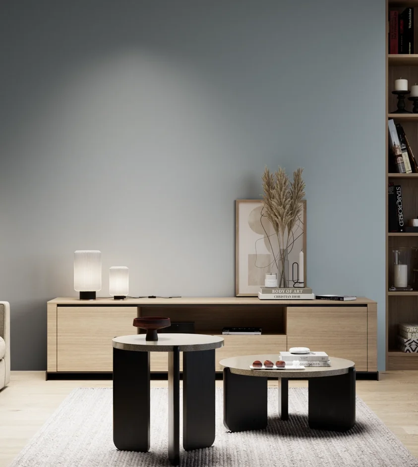 P10_SNIEZKA_salon_05_zimne_GREY_S3010-B