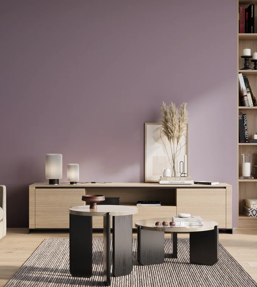 P10_SNIEZKA_salon_01_poranek_GREY_S3020-R50B