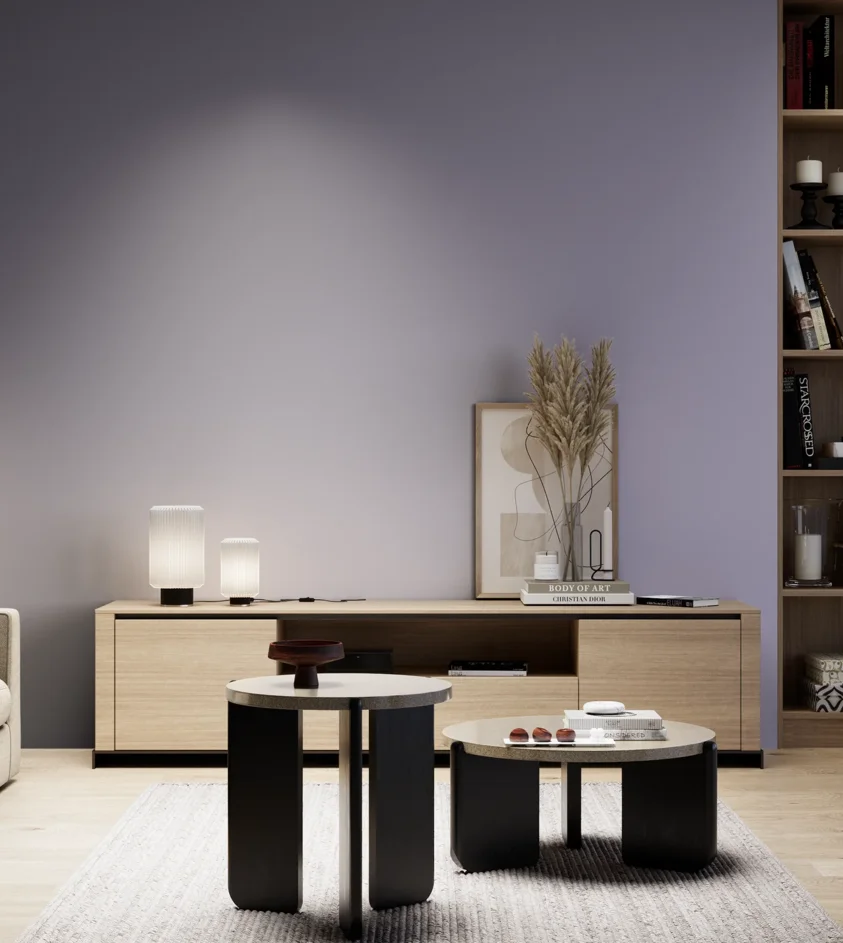P10_SNIEZKA_salon_05_zimne_GREY_S3020-R60B