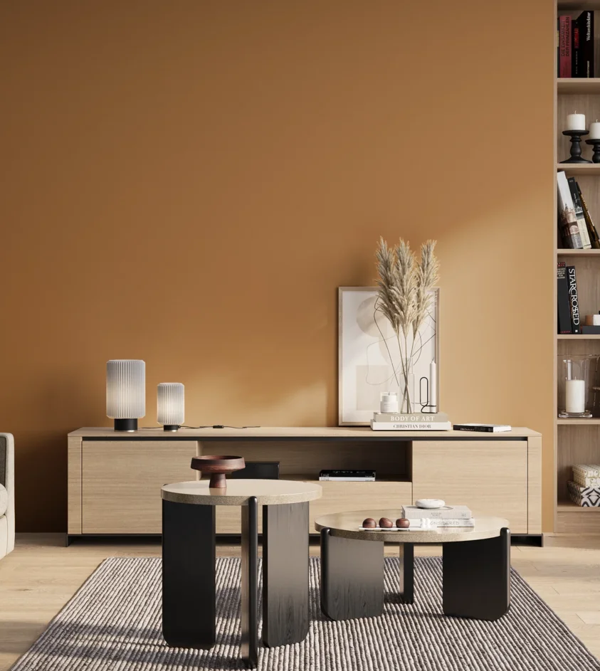 P10_SNIEZKA_salon_01_poranek_GREY_S3040-Y30R