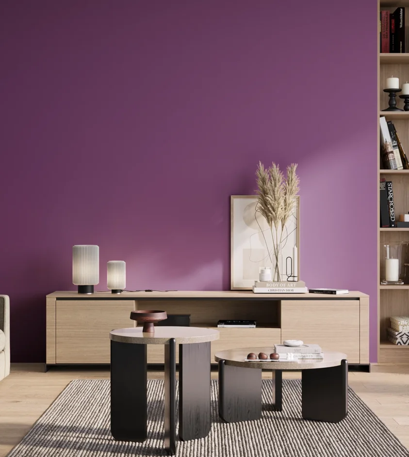 P10_SNIEZKA_salon_01_poranek_GREY_S3055-R50B