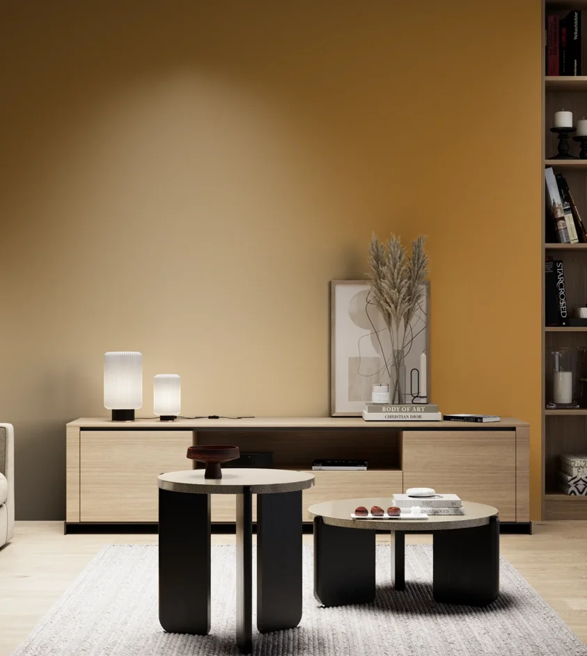 P10_SNIEZKA_salon_05_zimne_GREY_S3060-Y20R