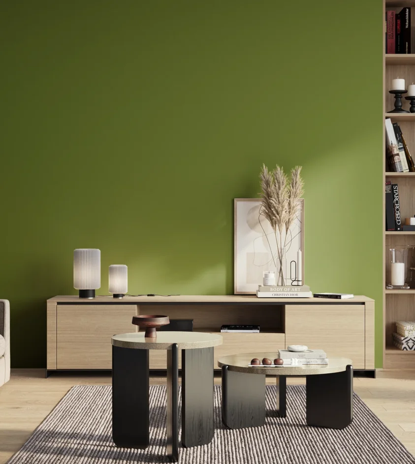 P10_SNIEZKA_salon_01_poranek_GREY_S3065-G40Y