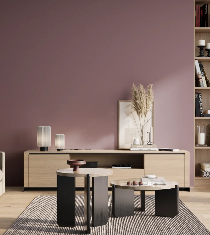 P10_SNIEZKA_salon_01_poranek_GREY_S4020-R30B