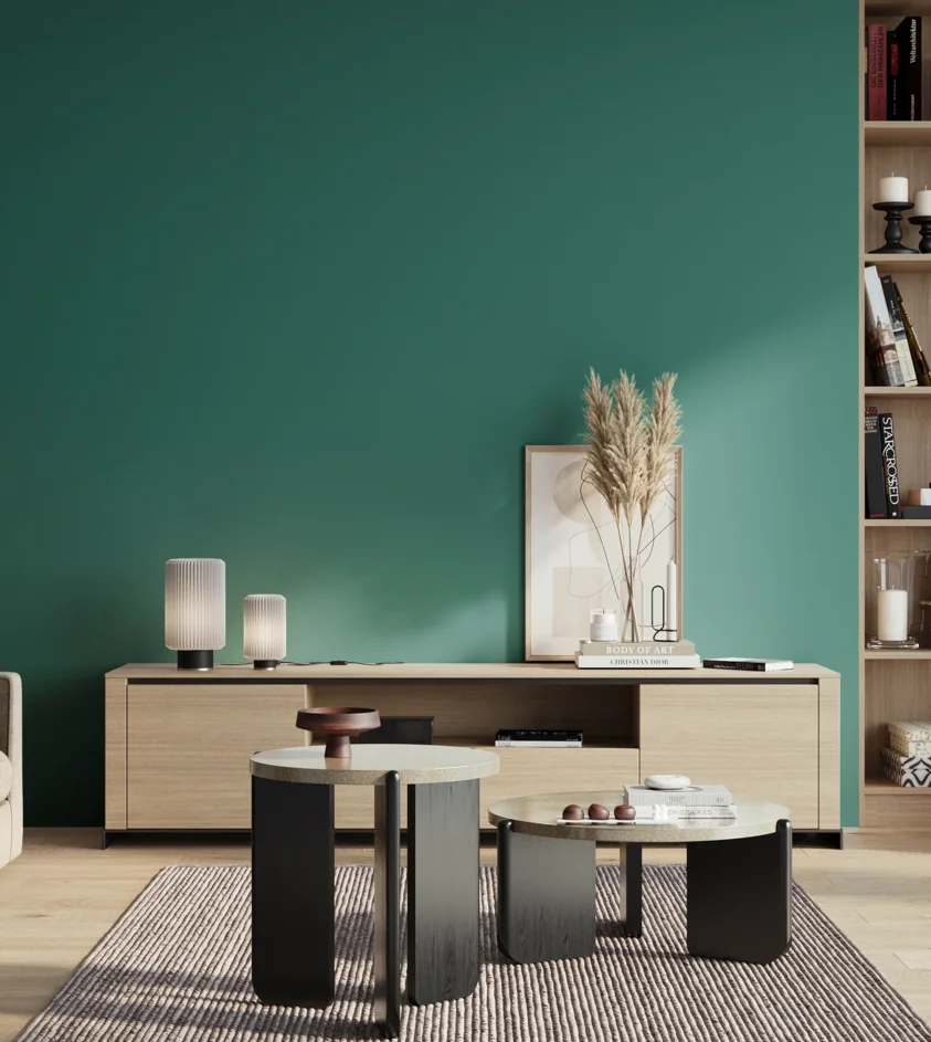 P10_SNIEZKA_salon_01_poranek_GREY_S4040-B60G