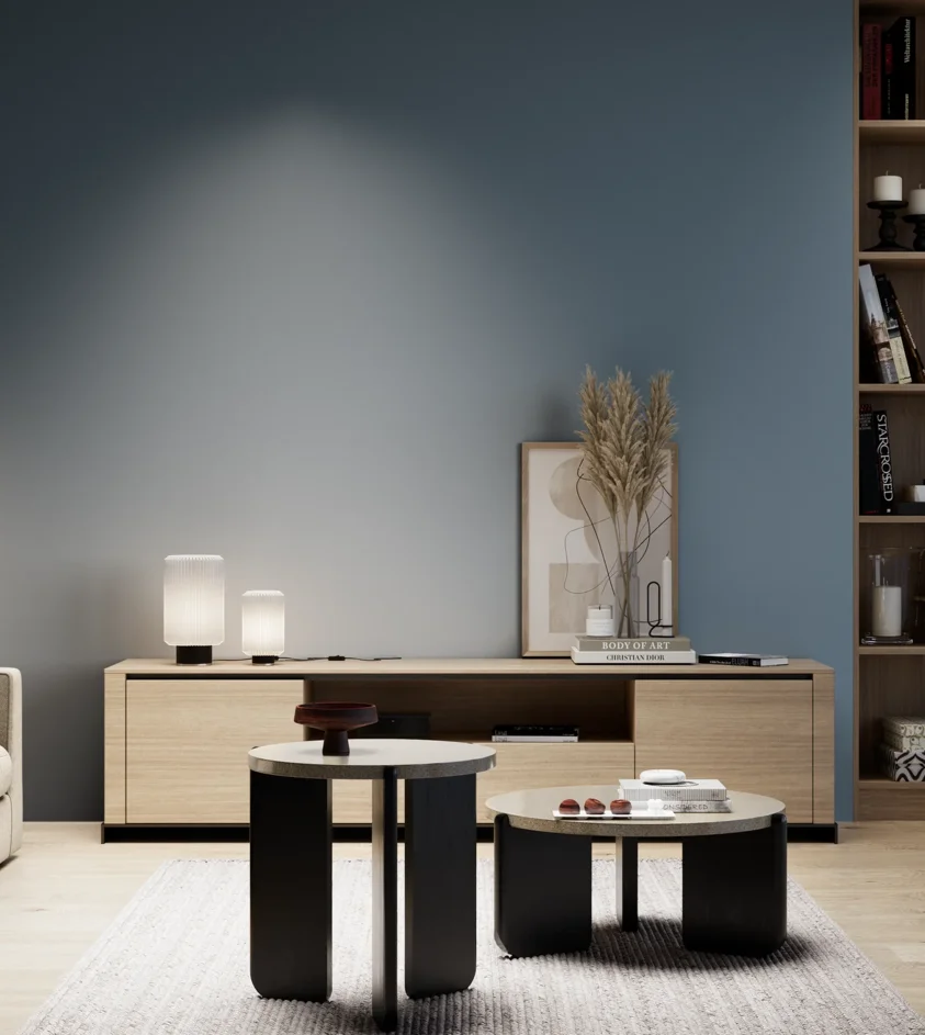 P10_SNIEZKA_salon_05_zimne_GREY_S5020-B