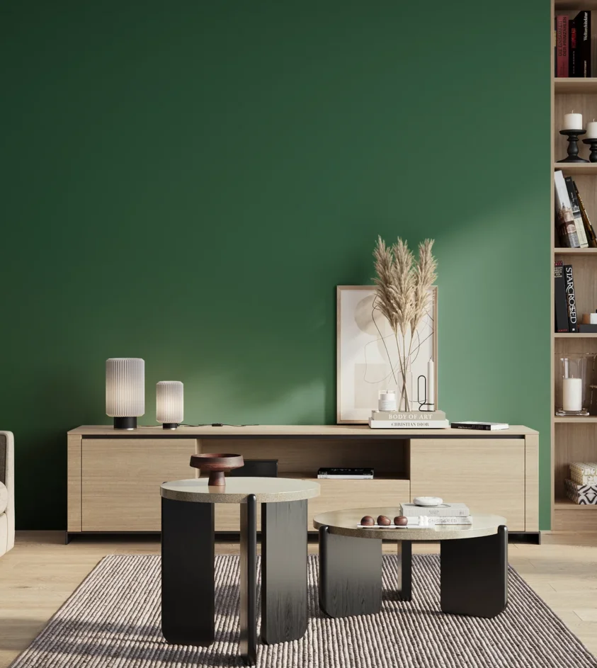 P10_SNIEZKA_salon_01_poranek_GREY_S5040-G