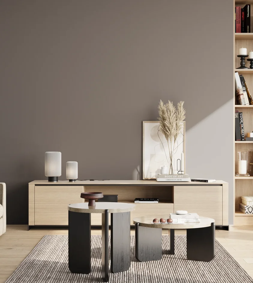 P10_SNIEZKA_salon_02_poludnie_GREY_S5502-R
