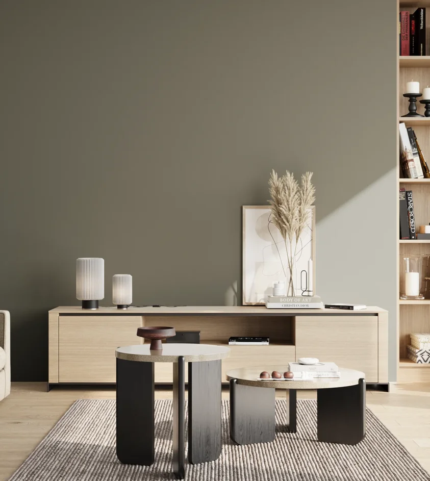 P10_SNIEZKA_salon_02_poludnie_GREY_S6005-G50Y