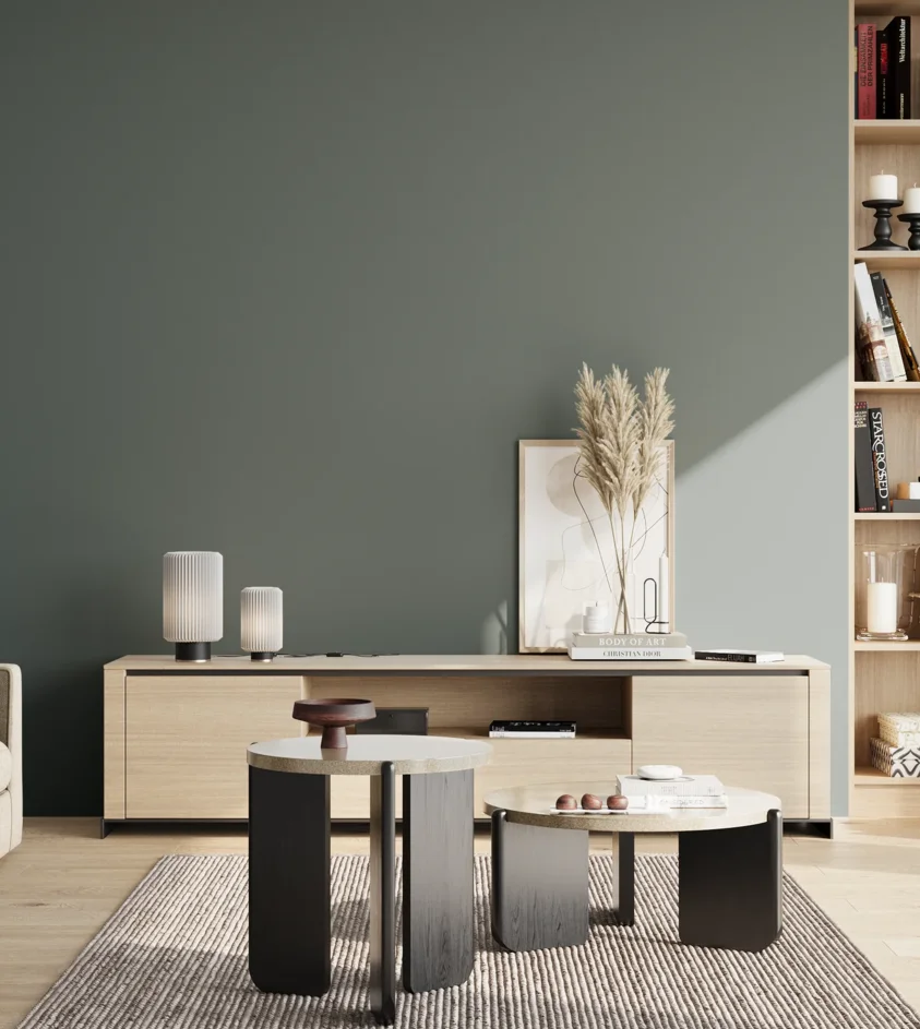 P10_SNIEZKA_salon_02_poludnie_GREY_S6010-B50G