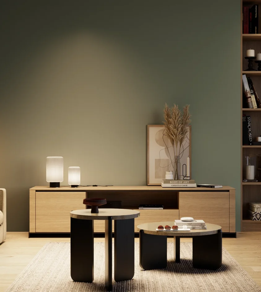 P10_SNIEZKA_salon_04_cieple_GREY_S6010-G10Y