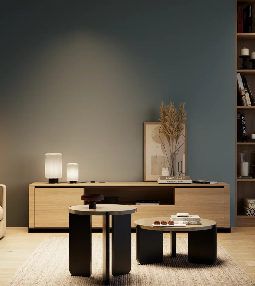 P10_SNIEZKA_salon_04_cieple_GREY_S6020-B