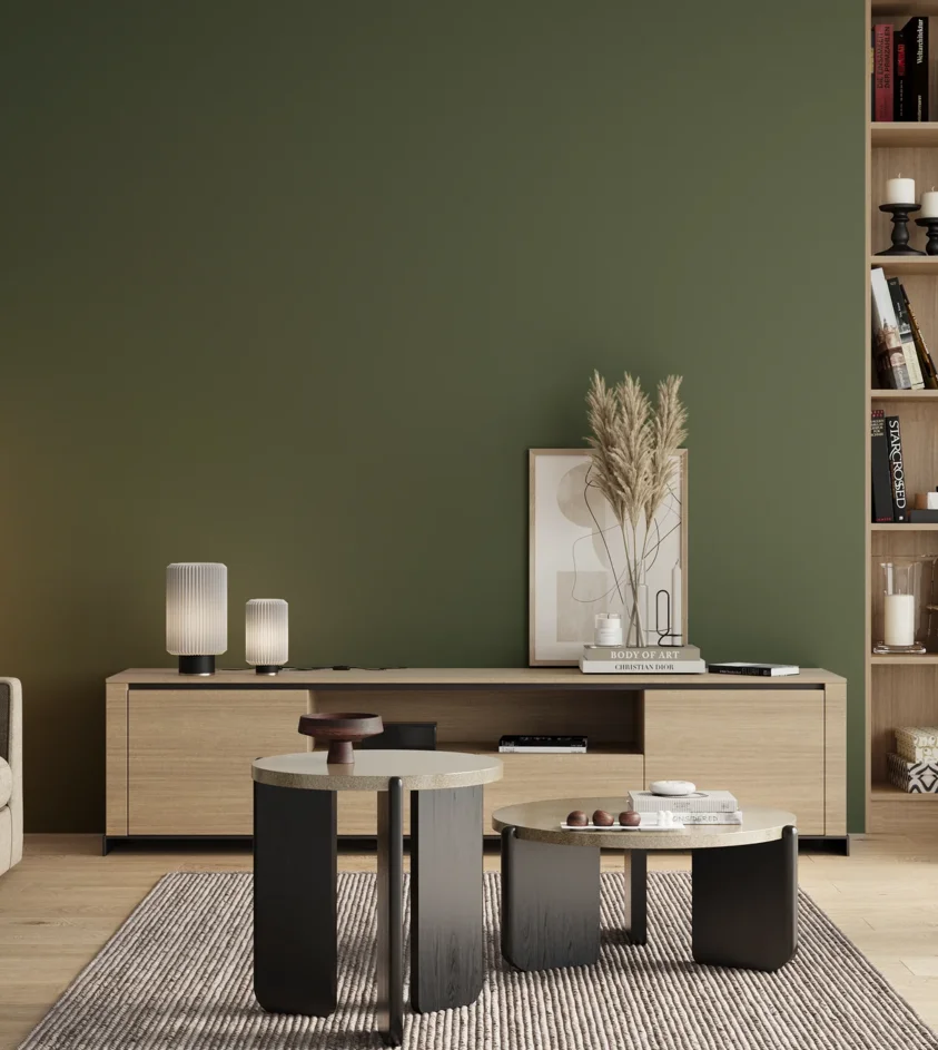 P10_SNIEZKA_salon_00_neutral_GREY_S6020-G30Y