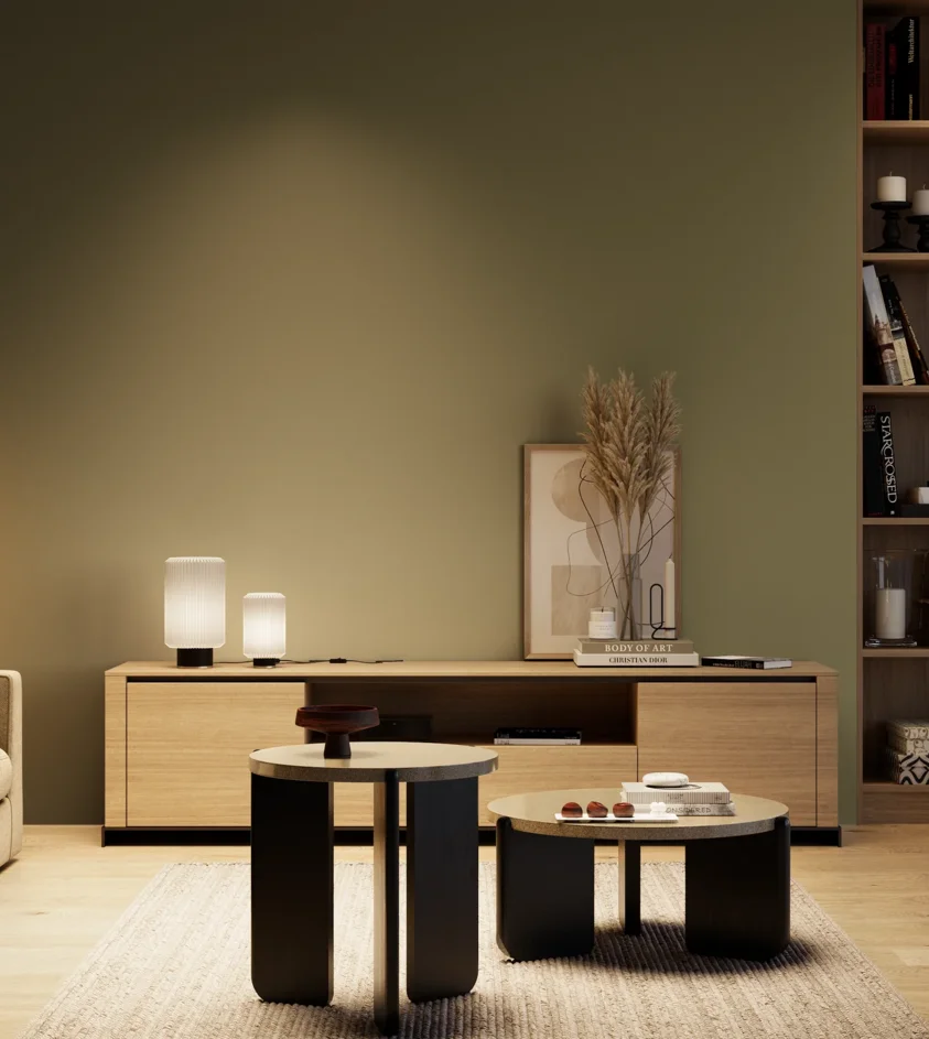 P10_SNIEZKA_salon_04_cieple_GREY_S6020-G70Y