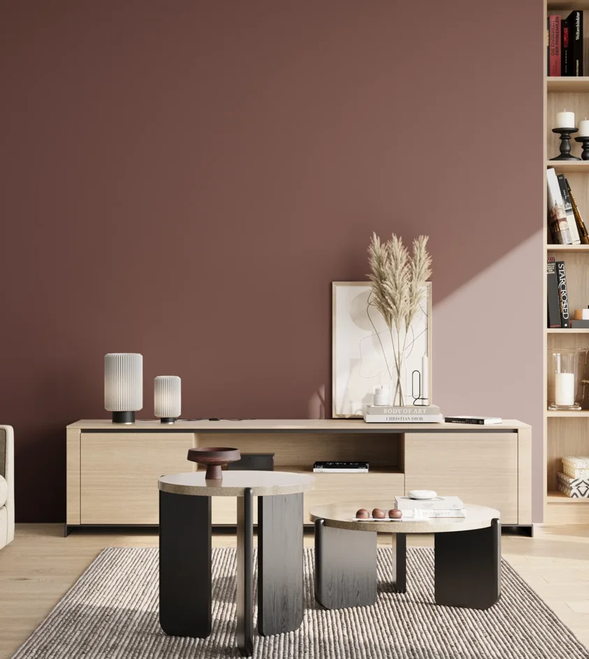P10_SNIEZKA_salon_02_poludnie_GREY_S6020-R