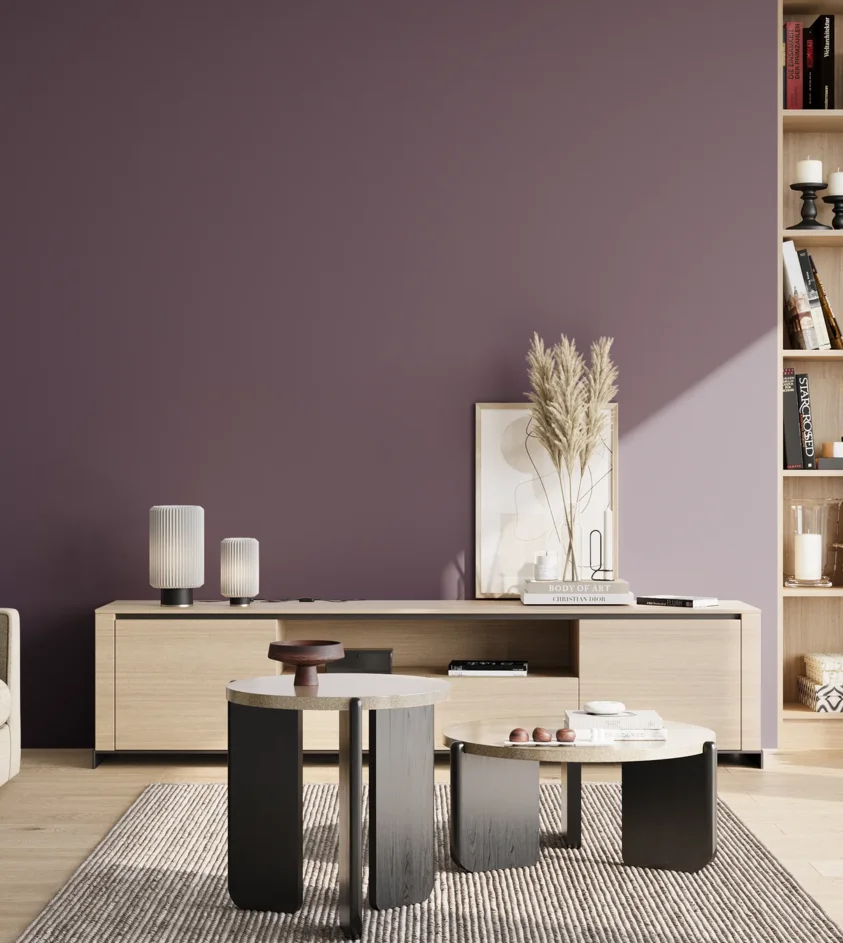 P10_SNIEZKA_salon_02_poludnie_GREY_S6020-R50B