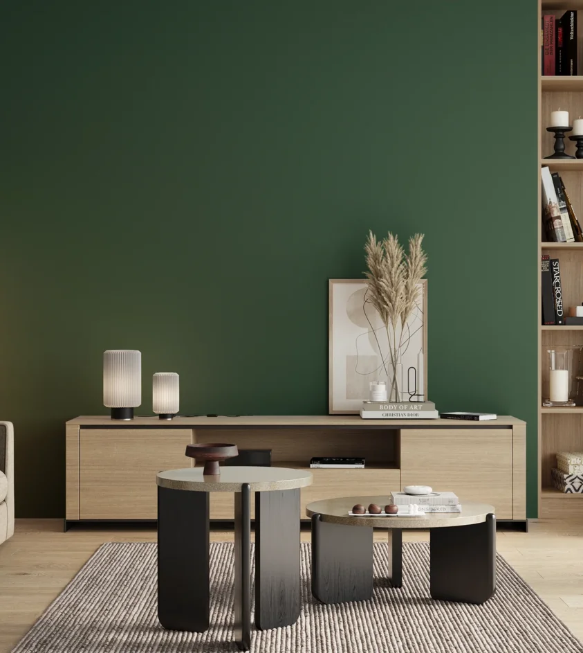 P10_SNIEZKA_salon_00_neutral_GREY_S6030-G