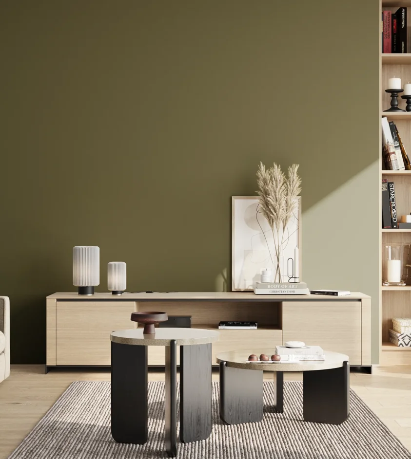 P10_SNIEZKA_salon_02_poludnie_GREY_S6030-G70Y