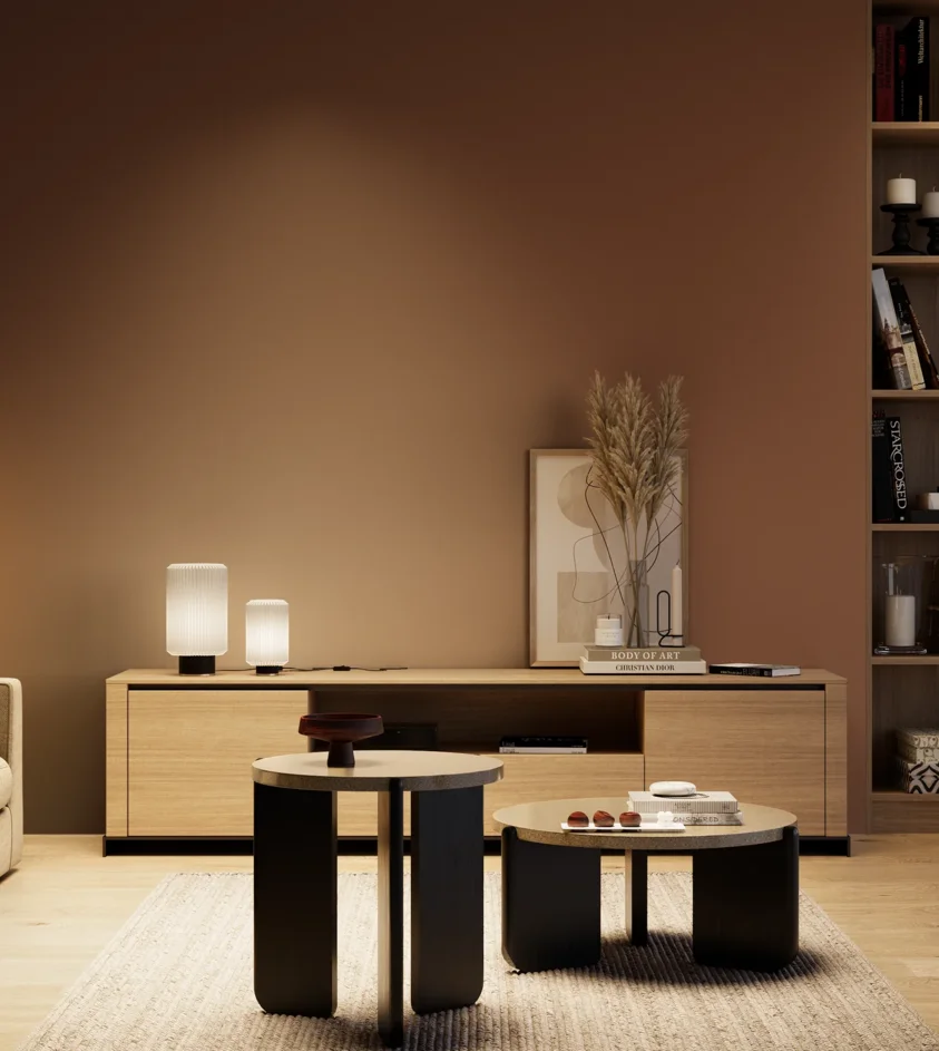 P10_SNIEZKA_salon_04_cieple_GREY_S6030-Y60R
