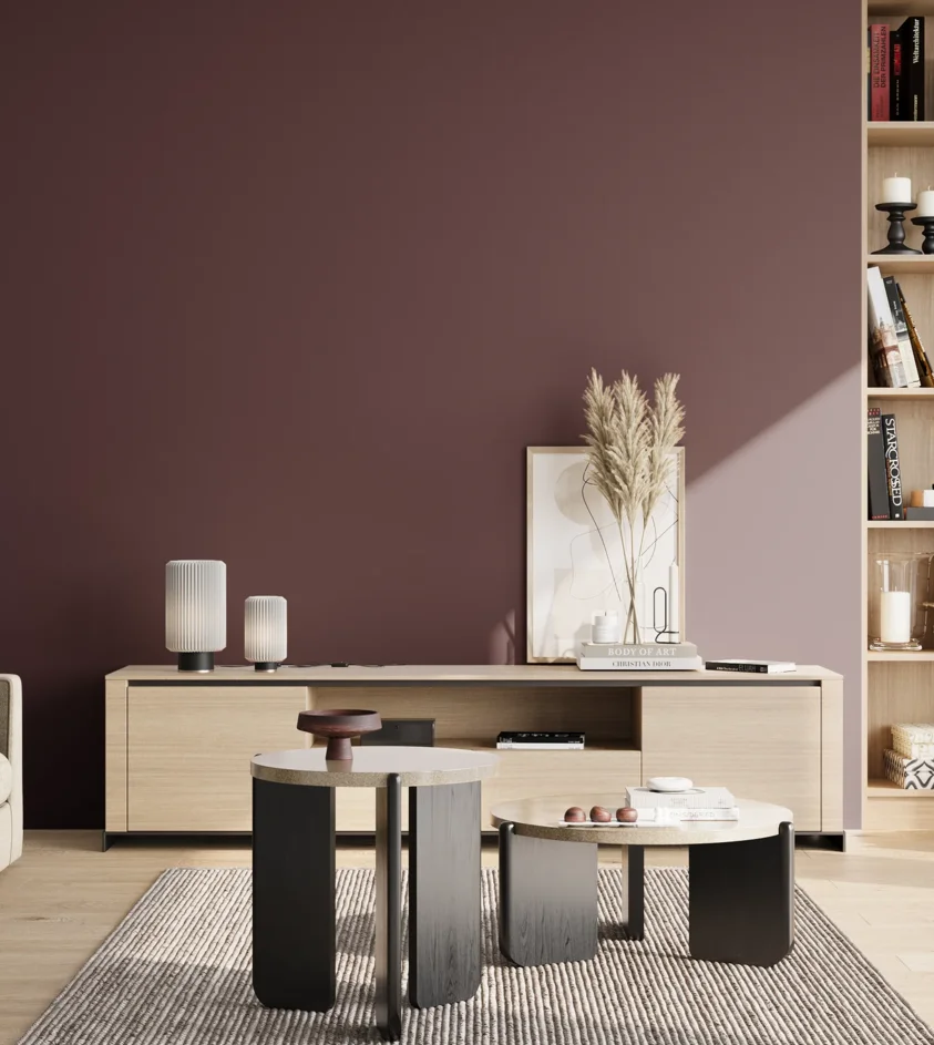 P10_SNIEZKA_salon_02_poludnie_GREY_S7020-R20B