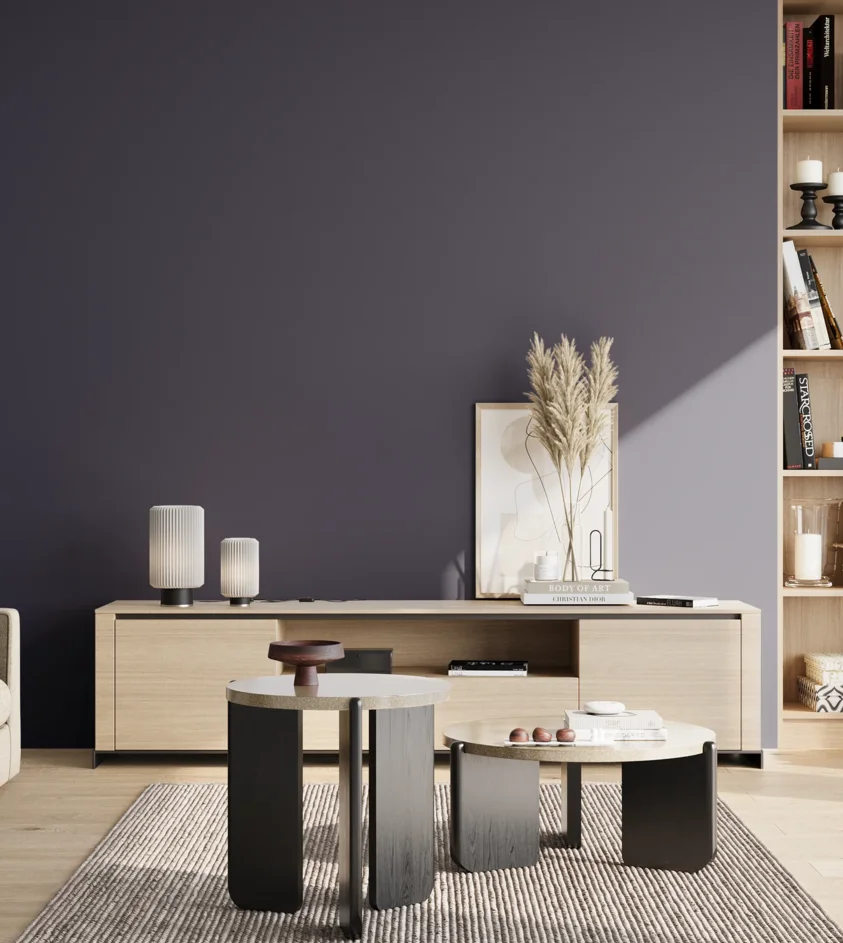 P10_SNIEZKA_salon_02_poludnie_GREY_S7020-R70B
