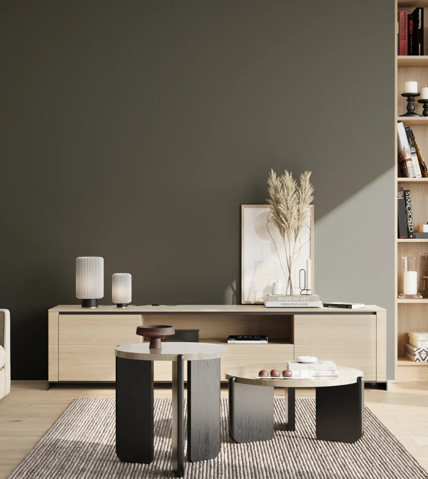 P10_SNIEZKA_salon_02_poludnie_GREY_S8005-G20Y