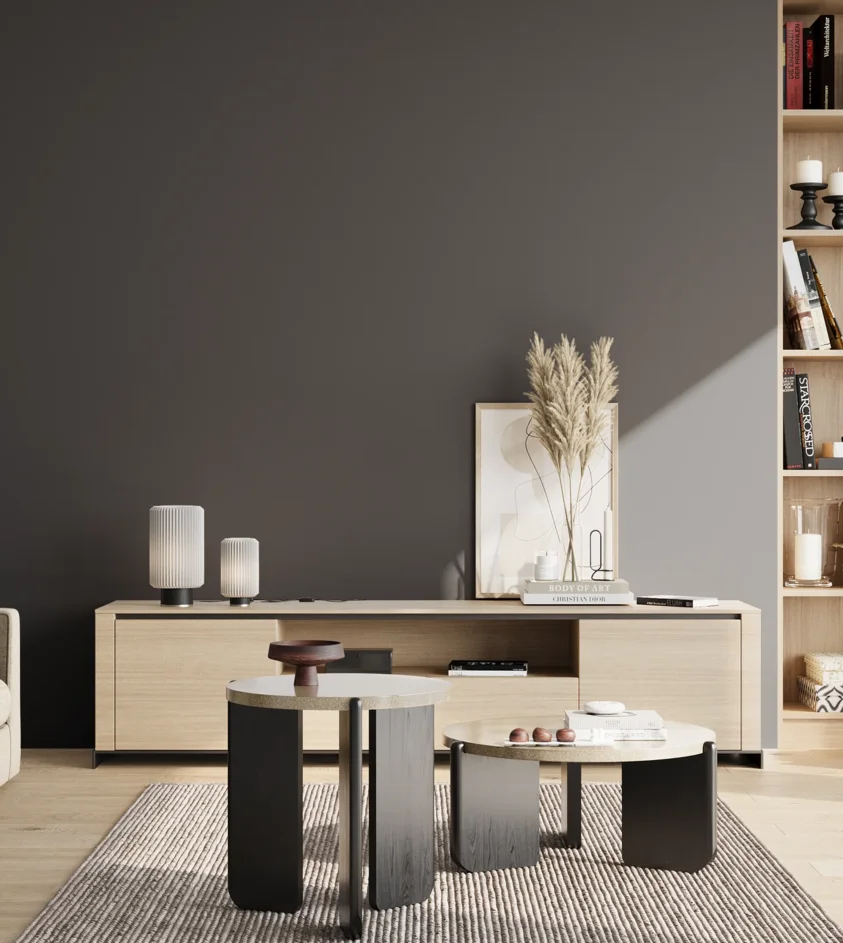 P10_SNIEZKA_salon_02_poludnie_GREY_S8005-R80B