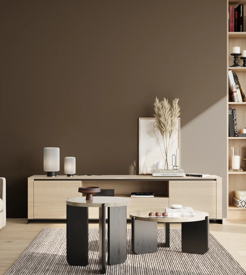 P10_SNIEZKA_salon_02_poludnie_GREY_S8010-Y30R