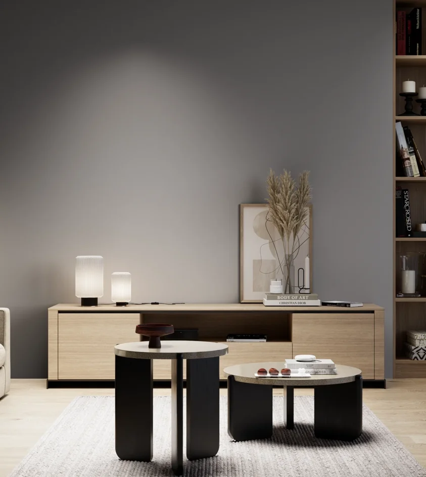 P10_SNIEZKA_salon_05_zimne_GREY_S5502-R50B
