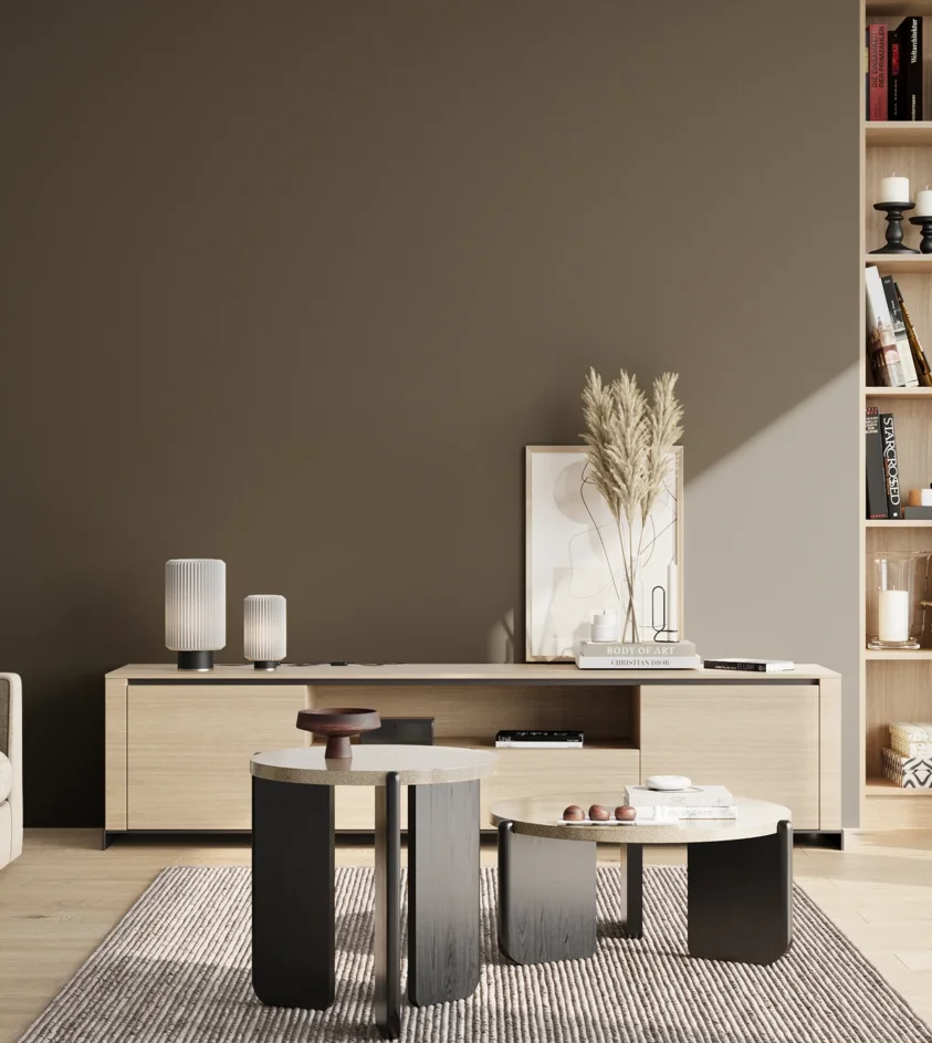 P10_SNIEZKA_salon_02_poludnie_GREY_S7005-Y