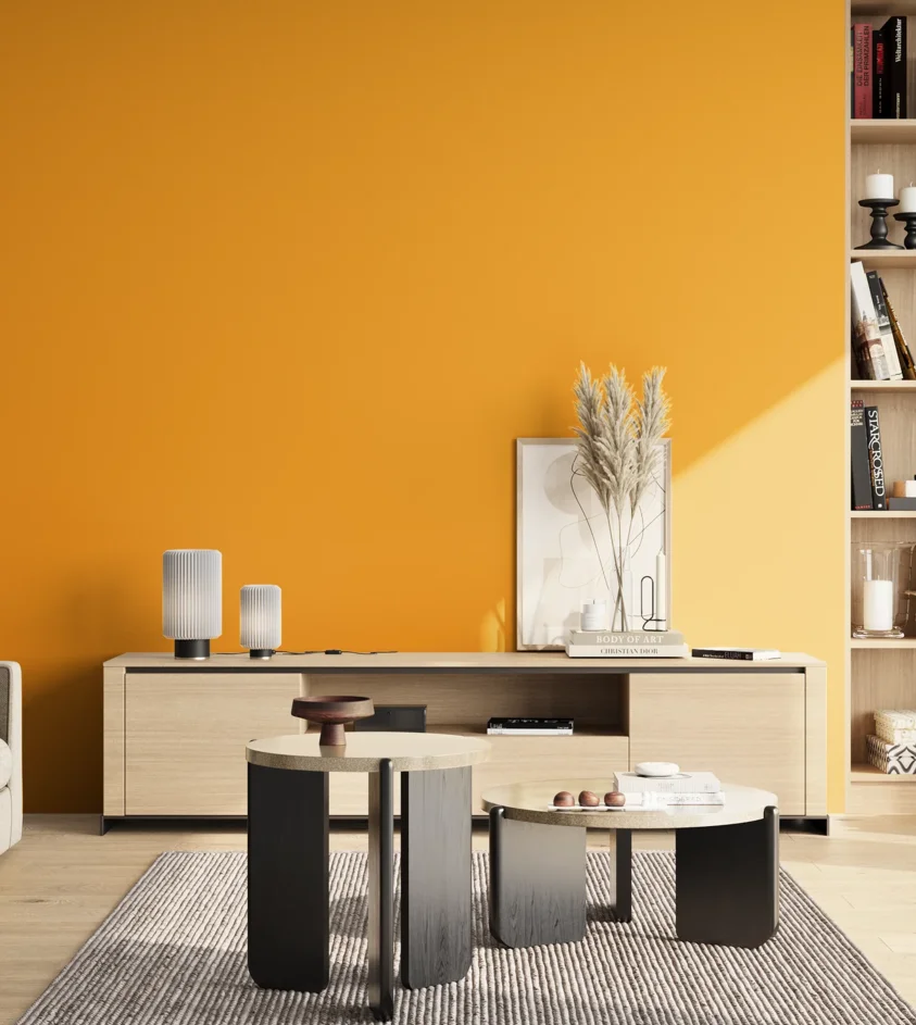 P10_SNIEZKA_salon_02_poludnie_GREY_RAL1003